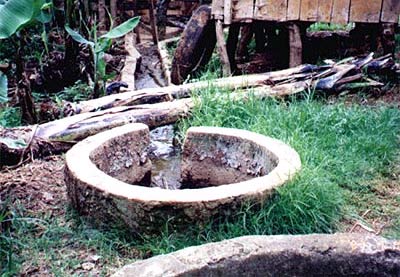 Đề cử giải Năng lượng toàn cầu cho chương trình biogas