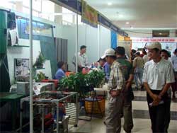 Sáng chế chuyên nghiệp: 