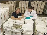 Phát hiện kho báu hàng trăm triệu đô dưới lòng biển