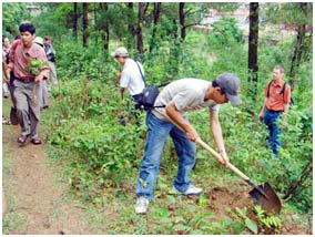 Mỗi năm, hàng chục ngàn loài động, thực vật bị tuyệt chủng
