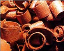 Mỹ phát triển nhiên liệu sinh học từ dăm bào