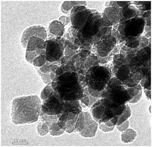 Ứng dụng chất lỏng từ đàn hồi cho chụp ảnh cộng hưởng từ hạt nhân