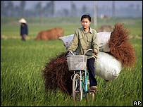 Mỹ 