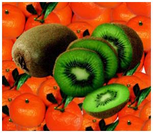 Tìm ra bí ẩn của cơ chế tổng hợp vitamin C ở thực vật