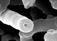 NASA dùng carbon nano tube của VN làm vỏ phi thuyền