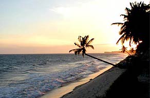 Bờ biển Việt Nam đang xói lở rất mạnh!