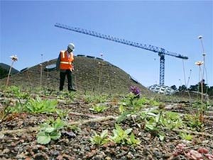 Mái nhà thực vật