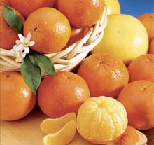 Trái cây có thể tạo ra 