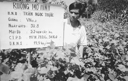 Hoạt động khoa học và công nghệ góp phần xây dựng nông thôn 