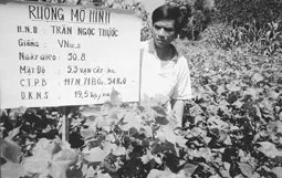 Hoạt động khoa học và công nghệ góp phần xây dựng nông thôn "bốn có"