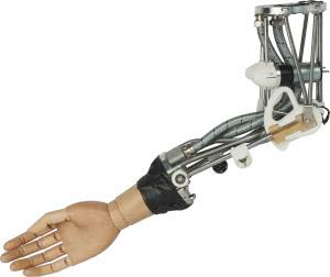 Sử dụng vòi của voi làm mẫu thiết kế - chế tạo cánh tay bằng kỹ thuật sinh học