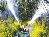 Máy tưới bán tự động do nông dân tự chế