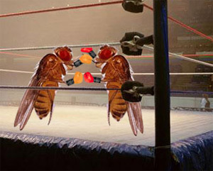 Những bí ẩn khoa học vui (phần 3)