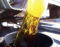 Nhiên liệu thực vật lên ngôi trước khủng hoảng dầu mỏ