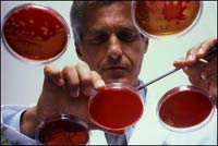 Vi khuẩn sống lại sau 8 triệu năm đóng băng