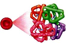 Dấu hiệu của bệnh thiếu máu