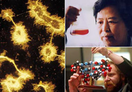 Trung Quốc: Cho phép thất bại trong khoa học