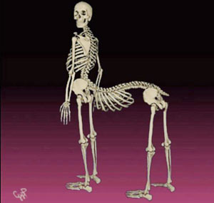 Anh: Nỗi sợ “nửa người nửa thú”