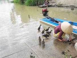 Hà Lan-Việt Nam triển khai chương trình khai thác nước bền vững