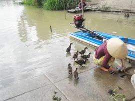 Hà Lan-Việt Nam triển khai chương trình khai thác nước bền vững