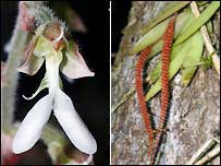 Động thực vật mới ở Việt Nam