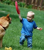 Trẻ con hay bị chó cắn vì... mất trật tự