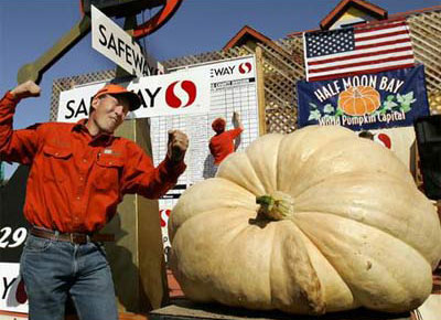 Bí ngô nặng 686 kg