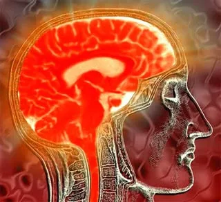 Cảm biến từ trường siêu nhạy mới cho phép nghiên cứu não dễ dàng hơn
