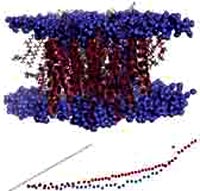 Phát hiện mới về hoạt động của protein