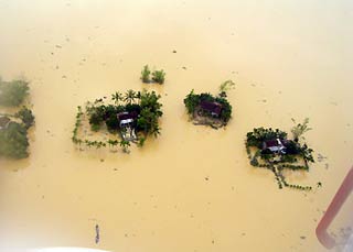 Phê duyệt Chiến lược phòng, chống, giảm nhẹ thiên tai đến 2020