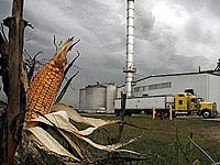 Thực phẩm và nhiên liệu sạch, chọn cái nào?