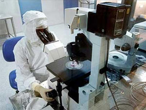 Tái tạo da thành tế bào gốc