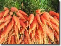 Tạo ra cà rốt chứa nhiều canxi