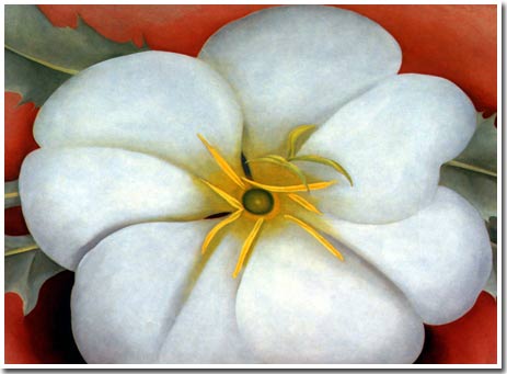 Tại sao hoa lại đẹp?