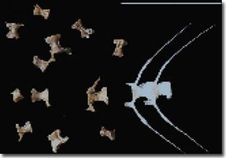 Cá bơi lên phía bắc khi biển ấm lên