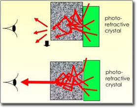 Kỹ thuật mới làm mô trở nên trong suốt