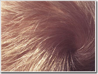 Những sợi tóc tiết lộ nơi nạn nhân của vụ án mạng từng uống nước