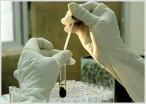 Hàn Quốc: Lại xìcăngđan giả mạo nghiên cứu khoa học