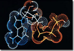 Quan sát hỗn hợp sắc tố phức tạp trong tế bào sống