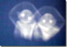 Người ngoài hành tinh đổ bộ xuống Canada?