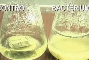 Những tiến bộ chính trong công nghệ nhiên liệu sinh học: Rác hôm nay, Ethanol ngày mai