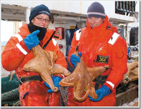 Sinh vật biển khổng lồ ở Nam Cực