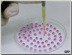 Đức nới lỏng luật nghiên cứu tế bào mầm