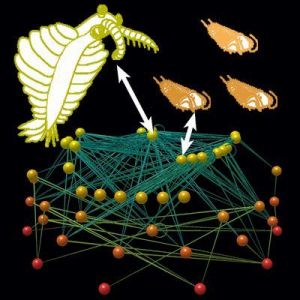 Hệ sinh thái cổ đại rất giống hệ sinh thái ngày nay
