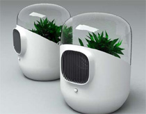 Làm sạch khí trong nhà bằng bộ lọc từ cây