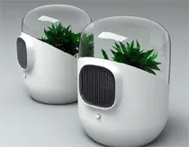 Làm sạch khí trong nhà bằng bộ lọc từ cây