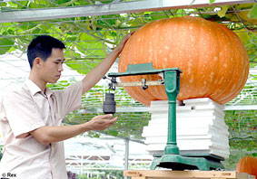 Rau củ không gian