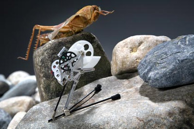 Châu chấu nhân tạo nhảy cao 1,4 m