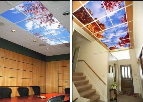 Đưa bầu trời vào trong nhà