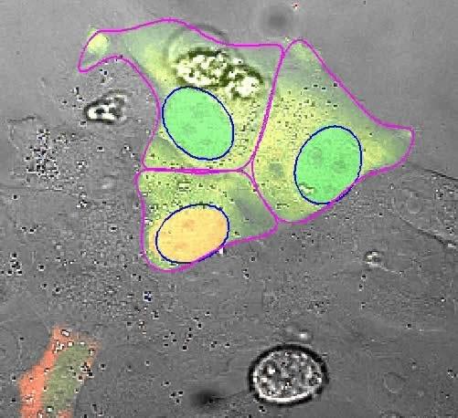 Sự sống không giống như chúng ta vẫn biết?